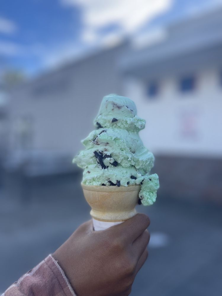 Handel's Homemade Ice Cream