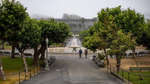 Golden Gate Park by null