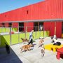 Photo of Happy Hound Play & Daycare