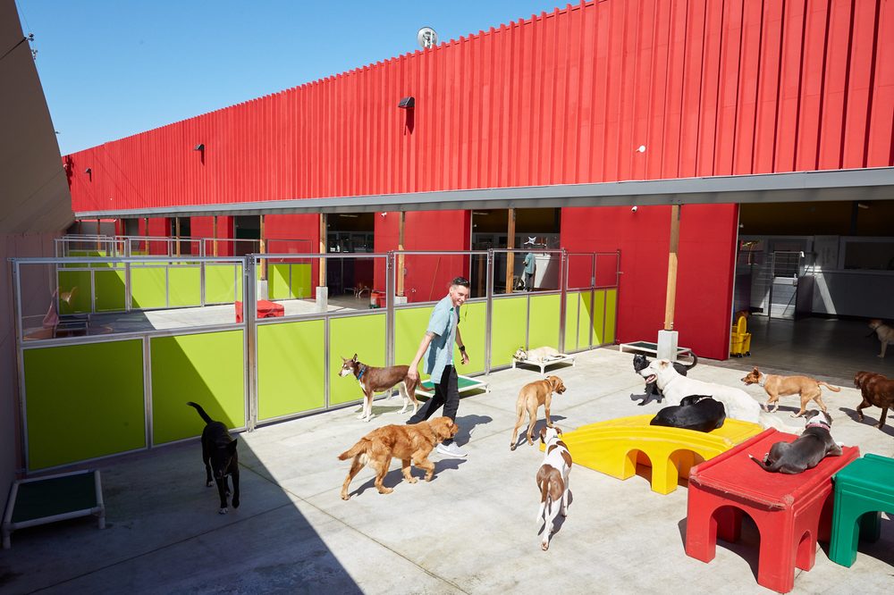 Happy Hound Play & Daycare - pet boarding facility in Oakland, CA