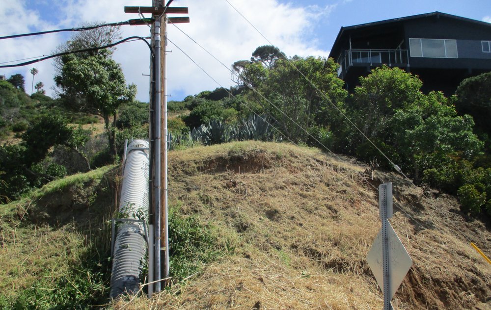 BRIAN WALSH BRUSH CLEARANCE Updated April 2024 201 Photos Los