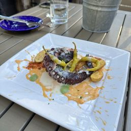 Octopus