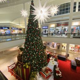 Christmas Tree Christmas Tree