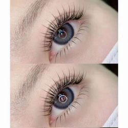 Princess Lash - Walnut