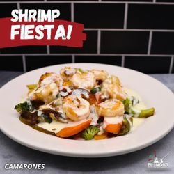 El Indio - Cosido