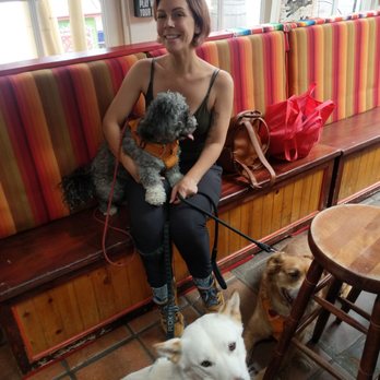 Rose’s Tasting Room - Lots of dogs this place is cool - Wine Tasting Room Near Me - San Diego, California Rose’s Tasting Room - Lots of dogs this place is cool - Wine Tasting Room Near Me - San Diego, California