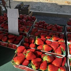 Carmel Valley Farmer’s Market