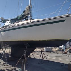 Svendsen's Bay Marine - Bottom hull painting. Did this myself after Svendsen did the sanding.