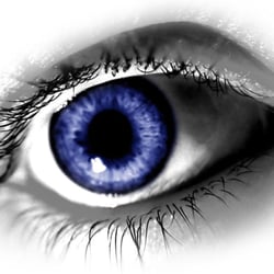Shepherd Professional Investigations - Let S.P.I. provide the answers WHEN YOU NEED TO KNOW