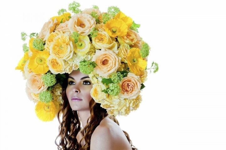 Orlando Barsallo Logo