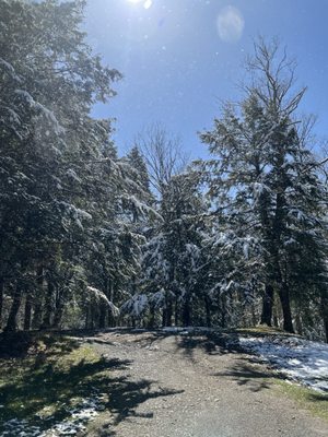 Chestnut Ridge Park by null