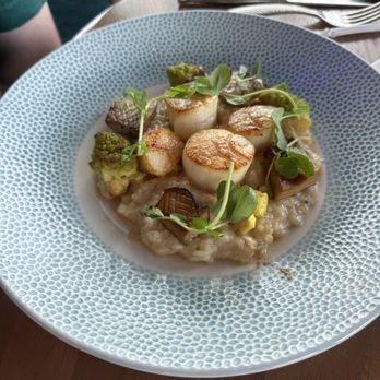 Atlantic - Seafood Near Me - Orlando, Florida Atlantic - Seafood Near Me - Orlando, Florida