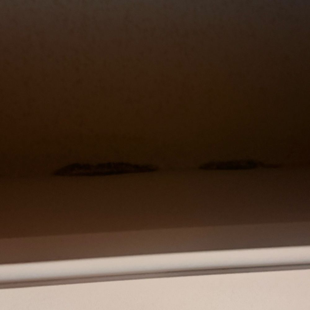Wycliffe By Broadmoor - Water damage in the closet - Apartments Near Me - Omaha, Nebraska Wycliffe By Broadmoor - Water damage in the closet - Apartments Near Me - Omaha, Nebraska