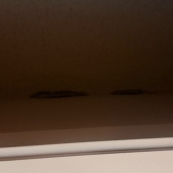Wycliffe By Broadmoor - Water damage in the closet - Apartments Near Me - Omaha, Nebraska Wycliffe By Broadmoor - Water damage in the closet - Apartments Near Me - Omaha, Nebraska