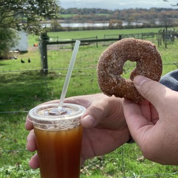 The Hard-Pressed Cider - The Hard Presses Cider Company - Donuts Near Me - Jamestown, Rhode Island