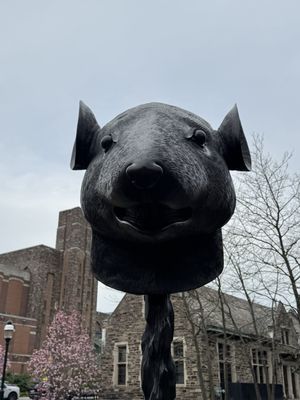 Princeton University by null