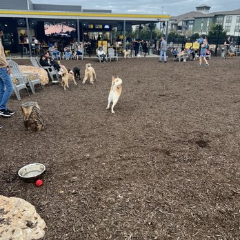 The Tailgate ATX - Large dog park - Bars Near Me - Austin, Texas