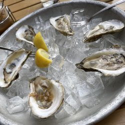 Lento Restaurant - Great white oyster