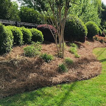 I J Pinestraw - Nurseries & Gardening Near Me - Norcross, Georgia I J Pinestraw - Nurseries & Gardening Near Me - Norcross, Georgia