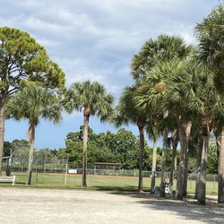Governor Lawton Chiles Memorial Park