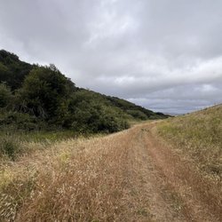 Newell Open Space Preserve