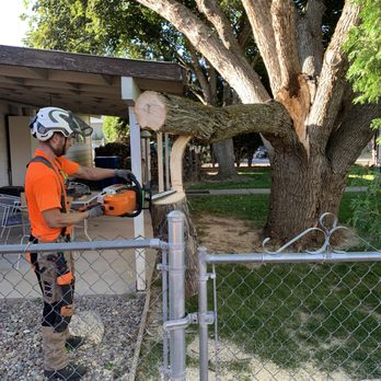 Tapsons Tree Service - a man cutting a tree with a chainsaw - Tree Services Near Me - Boise, Idaho