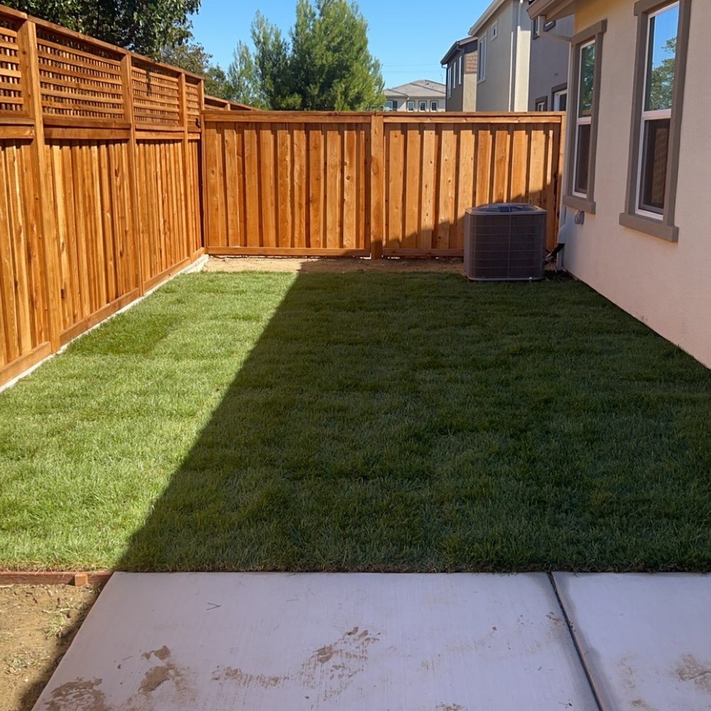 Green Life Yard Services - a view of a backyard - Landscaping Near Me - Antioch, California Green Life Yard Services - a view of a backyard - Landscaping Near Me - Antioch, California