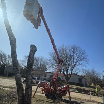 Triatik's Tree Service - Tree Services Near Me Triatik's Tree Service - Tree Services Near Me