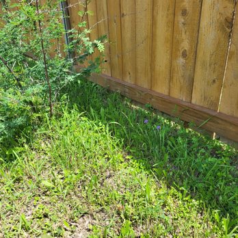 Endurance Ranch Lawn Services - Grass not trimmed - Lawn Services Near Me Endurance Ranch Lawn Services - Grass not trimmed - Lawn Services Near Me