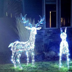 Walgreens - Neighborhood Hannukah Deer