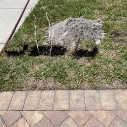 Hotwire Communications - More holes