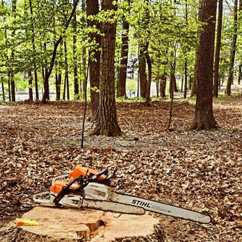 Shenandoah Choice Maintenance - Tree Services Near Me Shenandoah Choice Maintenance - Tree Services Near Me