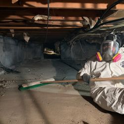 RestoPros Of Southern Nassau - Sanitized and Cleaned out Crawl Space