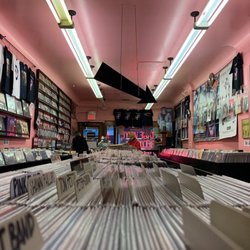 Vintage Vinyl Records - Zinya Salfiti photo from Daily Northwestern