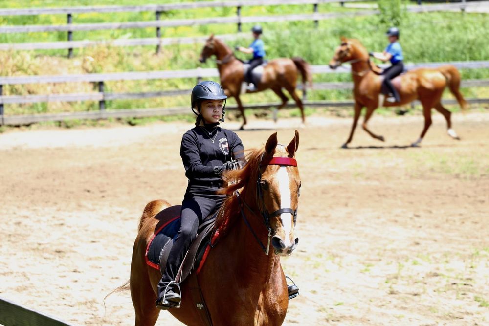 Ingleside Farm - equestrian in Franklinton, NC