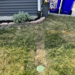 Water Drainage Solution