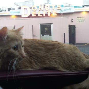 Donuts Delite - Emergency over - Donuts Near Me - Rochester, New York