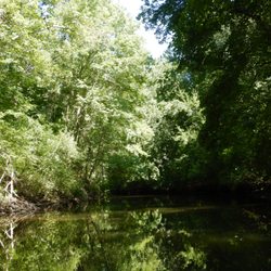 Neoponset River Reservation