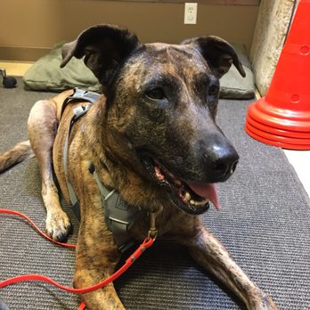 The Sams Clinic - Veterinarians Near Me - Mill Valley, California