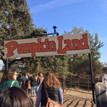 Joan's Farm & Pumpkin Patch - Pumpkin Patches Near Me - Livermore, California