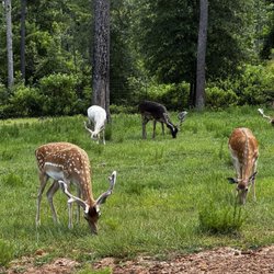 Busy B Ranch Wildlife Park - Gorgeous!