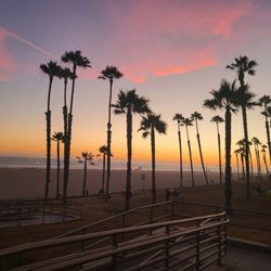 Surf City Nights - Sunset