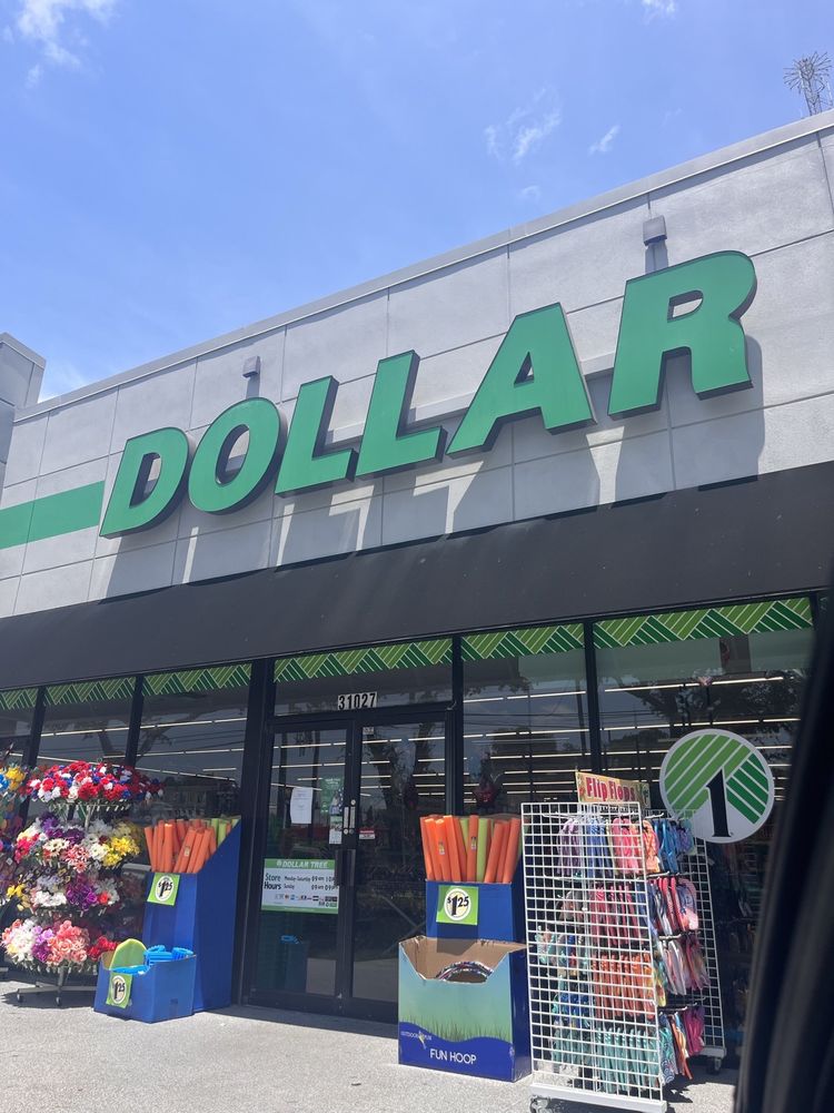 DOLLAR TREE Updated March 2026 31027 US Hwy 19 N Palm Harbor dollar-tree-updated-march-2026-31027-us-hwy-19-n-palm-harbor