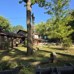 Rico Tree Service