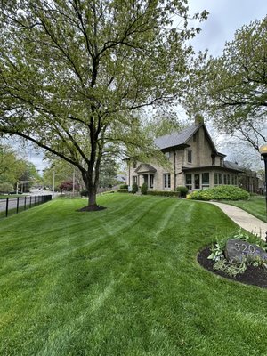 El Llano Landscaping on Yelp
