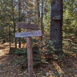 Fernald's Neck Preserve