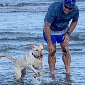 Lucky Dawg - Pet Training Near Me - Montgomery, Texas Lucky Dawg - Pet Training Near Me - Montgomery, Texas