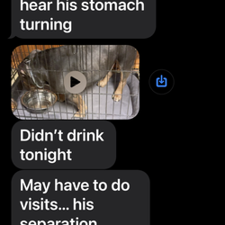 Dayton Dog Trainer