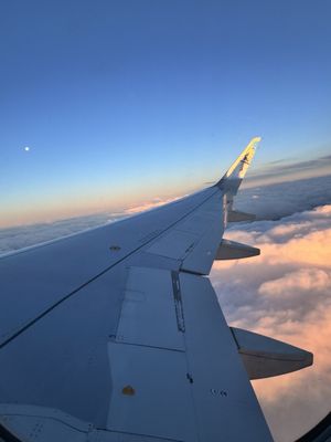Frontier Airlines by null