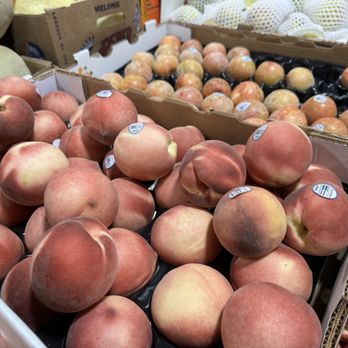 その他 street no.233 234 235 236 237 271 FRUiTS Quality Fruit & Vegetable Co HQ